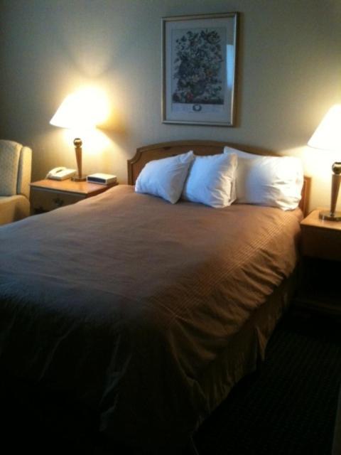 Carol Hotel Omaha Rom bilde